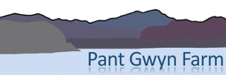 Pant Gwyn Farm Caravan Park